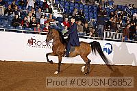 09usn-05852 proof