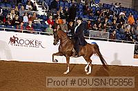 09usn-05856 proof