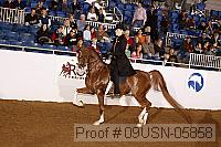 09usn-05858 proof