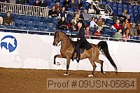 09usn-05864 proof