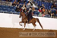 09usn-05865 proof