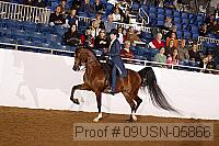 09usn-05866 proof