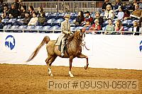 09usn-05875 proof