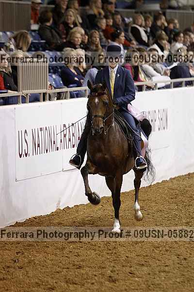 Proof 09usn-05882