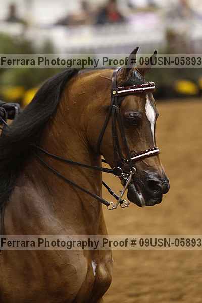 Proof 09usn-05893