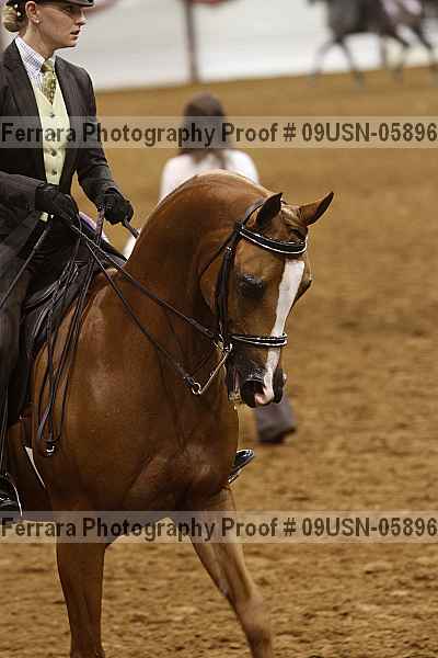 Proof 09usn-05896