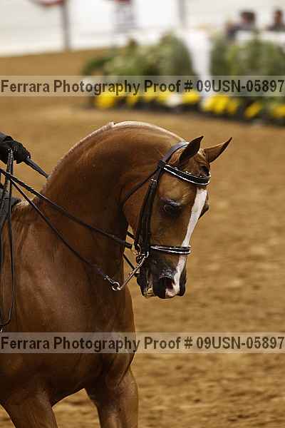Proof 09usn-05897