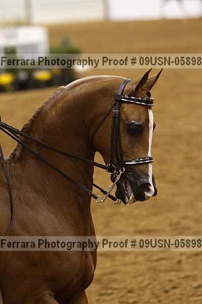 Proof 09usn-05898