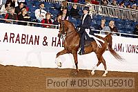 09usn-05910 proof