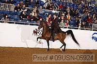 09usn-05924 proof
