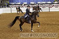 09usn-05925 proof