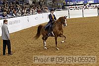 09usn-05929 proof