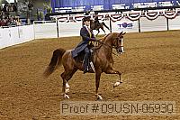 09usn-05930 proof
