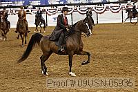 09usn-05935 proof