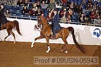 09usn-05943 proof