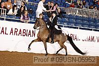 09usn-05952 proof