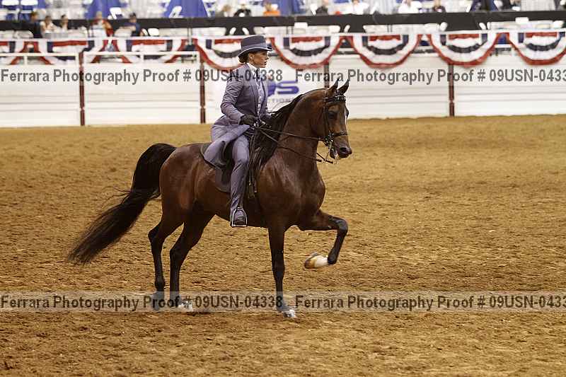 Proof 09usn-04338
