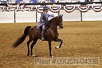 09usn-04338 proof