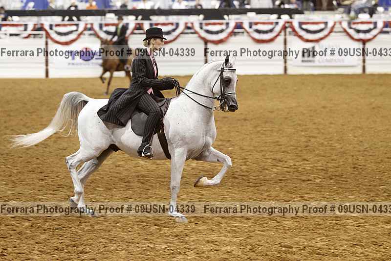 Proof 09usn-04339