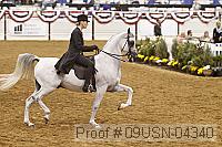 09usn-04340 proof