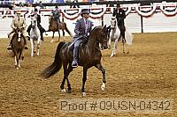 09usn-04342 proof