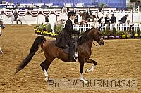 09usn-04343 proof