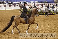 09usn-04347 proof