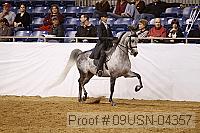 09usn-04357 proof