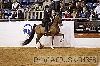 09usn-04358 proof