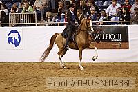 09usn-04360 proof