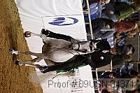 09usn-04371 proof