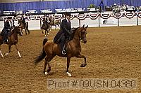 09usn-04380 proof