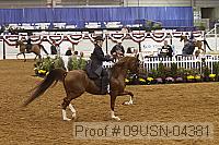09usn-04381 proof