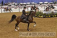 09usn-04382 proof