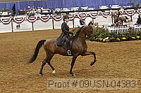 09usn-04383 proof