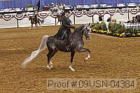 09usn-04384 proof