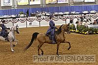 09usn-04385 proof
