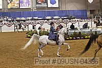 09usn-04386 proof