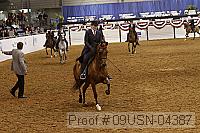 09usn-04387 proof
