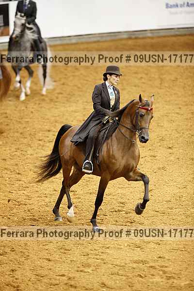 Proof 09usn-17177