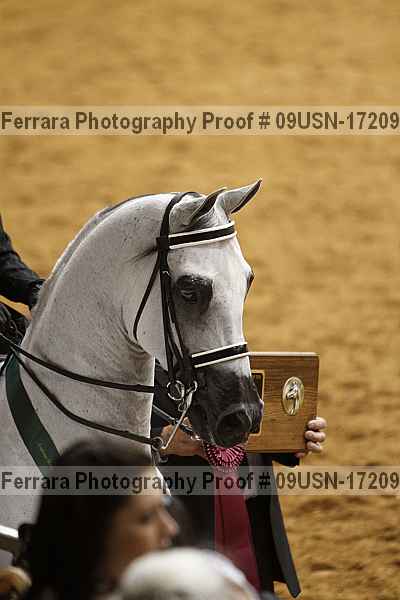 Proof 09usn-17209