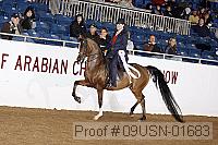 09usn-01683 proof