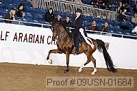 09usn-01684 proof