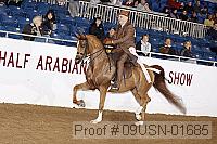 09usn-01685 proof