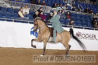 09usn-01693 proof