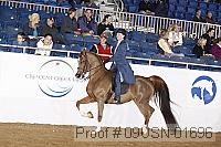 09usn-01696 proof