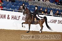 09usn-01703 proof