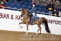 09usn-01705 proof