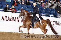 09usn-01706 proof