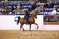 09usn-01796 proof
